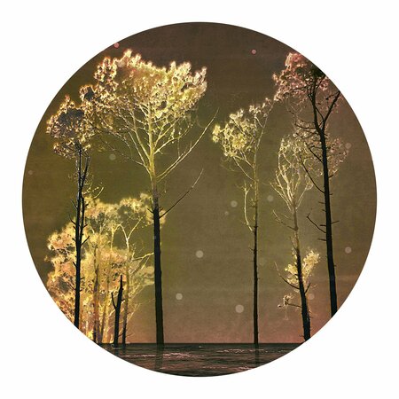 NEXT INNOVATIONS Towering Trees Round Wall Art 101410049-TOWERINGTREE